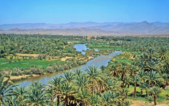 Ihre Rundreise im Detail