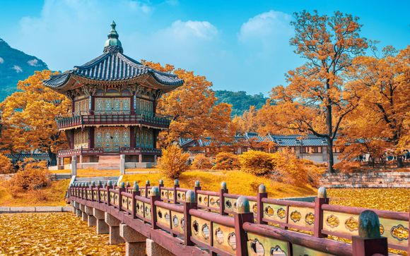 Ihre Reise im Überblick