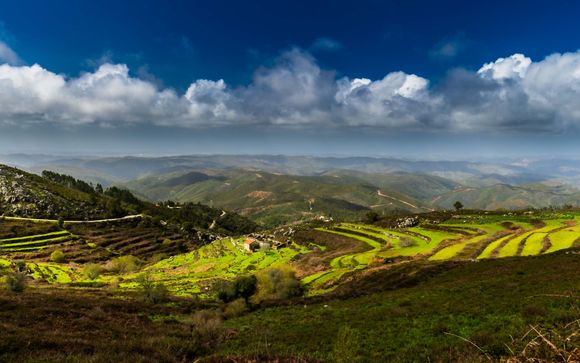 Ihre Ausflugsoptionen