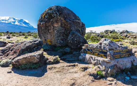 Ihre Reise im Detail