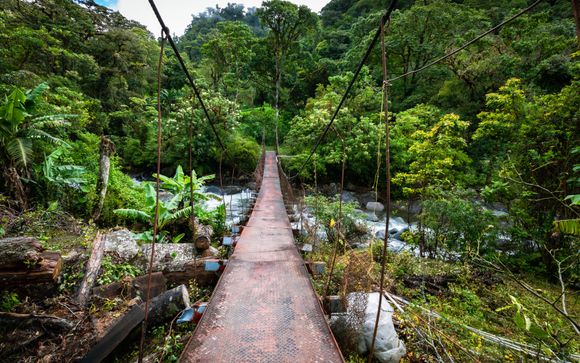 Ihre Reise im Detail