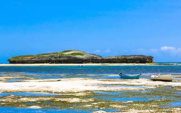 Ihre  Ausflugsoptionen