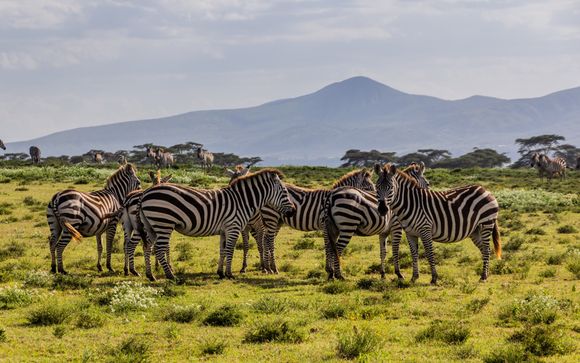 Ihre Safari im Überblick