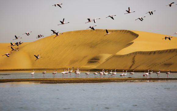 Mettez une option sur l