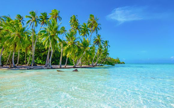 Ihre Kreuzfahrt im Detail