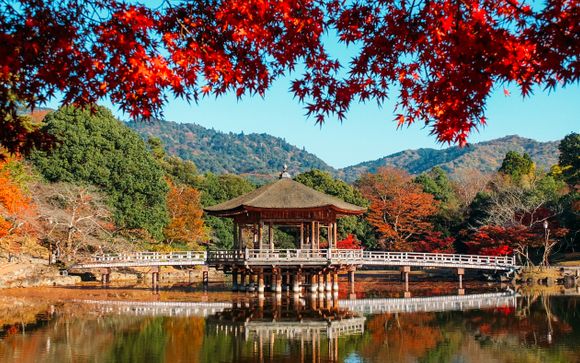 Ihre Rundreise im Detail