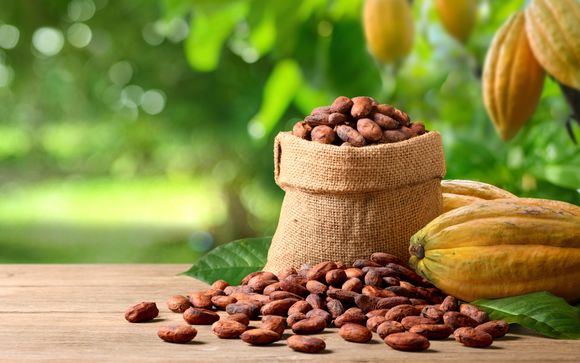 Ihre Ausflugsoptionen