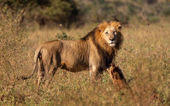 Programm in 12 Nächten: