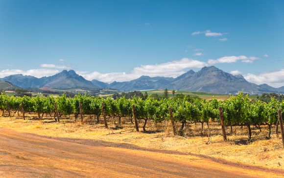 Ihre Ausflugsoptionen