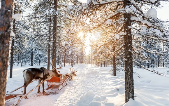 Ihre Rundreise im Detail