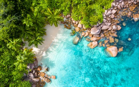 Ihre Kreuzfahrt im Detail