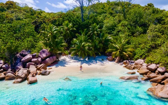 Ihre Kreuzfahrt im Detail