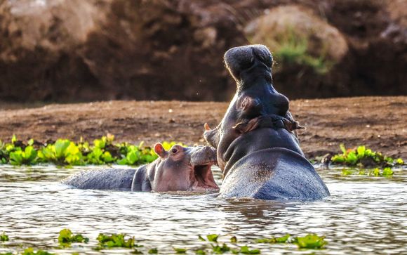 Rundreise in 12 Nächten