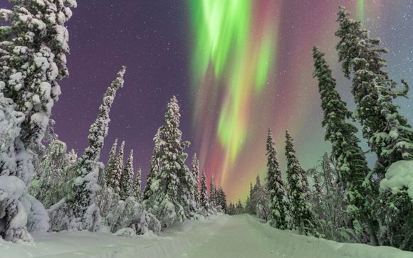 Ihre Rundreise im Detail