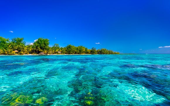 Zoom sur votre croisière