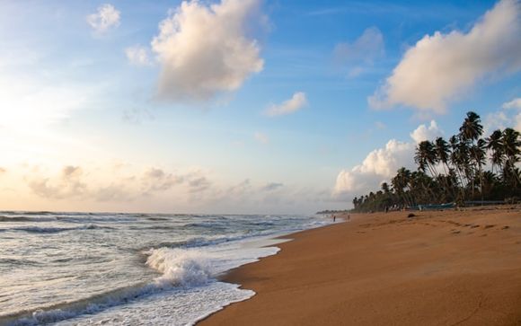 Willkommen in Sri Lanka!