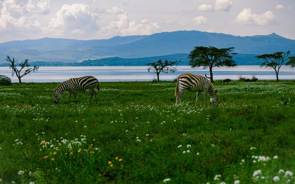 Ihre Reise im Detail