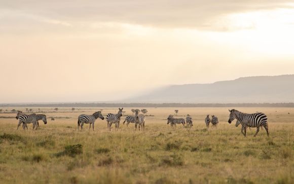 Ihre Reise im Detail