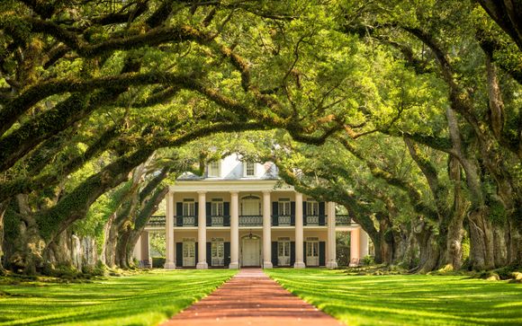 Journée de visite des marais et de la plantation Oak Alley