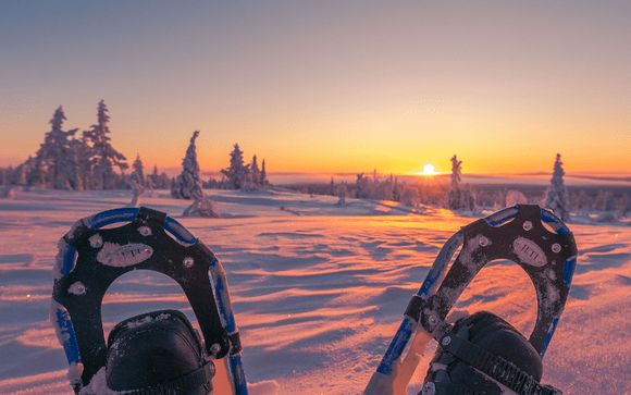 Ihre Reise im Detail