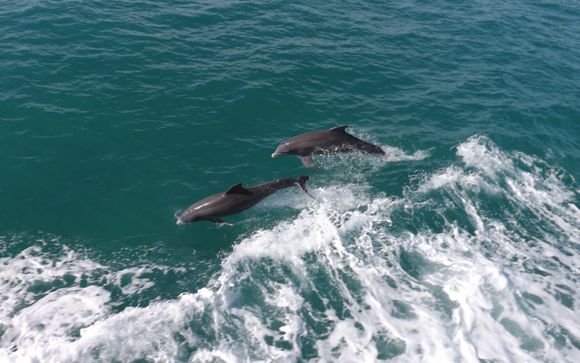 Ihre Rundreise im Überblick