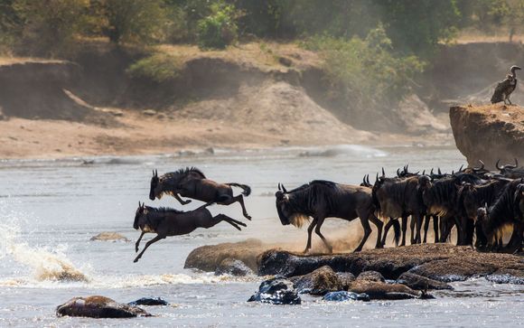 Ihre Safari im Überblick