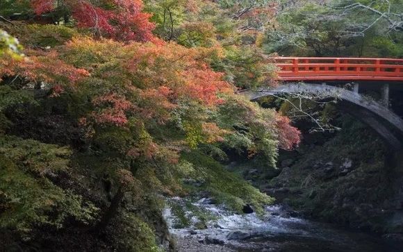 Ihre  Ausflugsoptionen