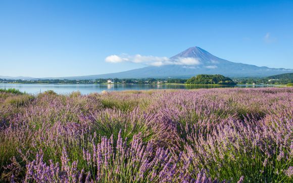 Ihre Rundreise im Überblick