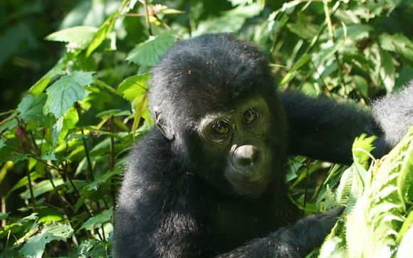 Zoom sur votre programme