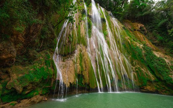 Safari Bayaguana : Plongée au Cœur de la Culture Dominicaine
