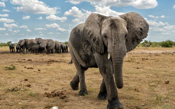 Ihre Rundreise im Detail