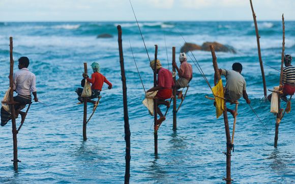 Willkommen auf...Sri Lanka!