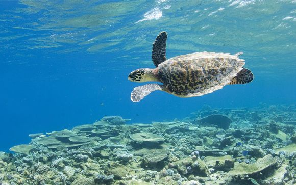 Ihr Freizeit- und Wellnessangebot