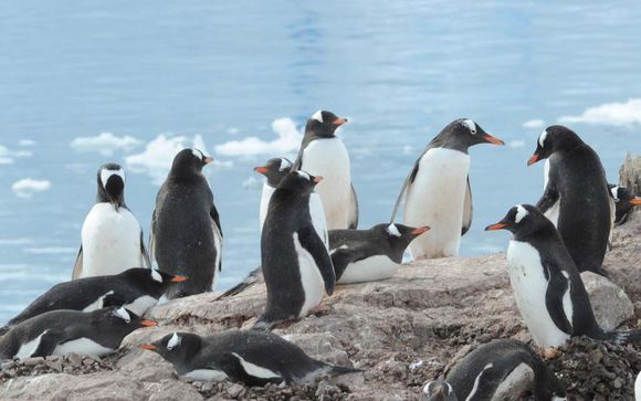 Ihre Rundreise im Detail