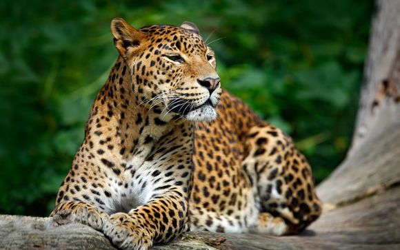 Ihre Rundreise im Detail