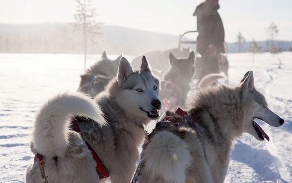 Ihre optionale Exkursionen