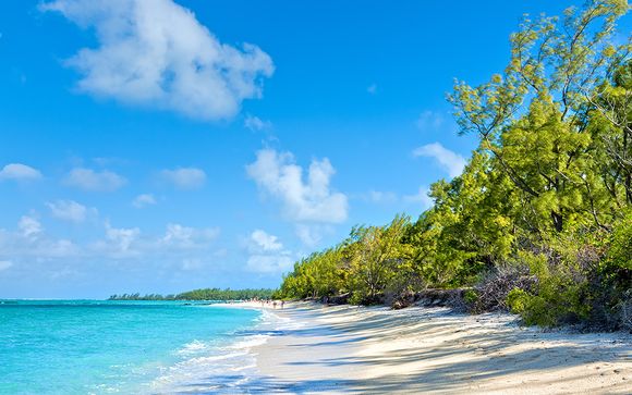 Ihre Optionen auf Mauritius