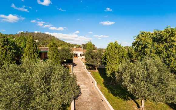 Willkommen auf...Mallorca !