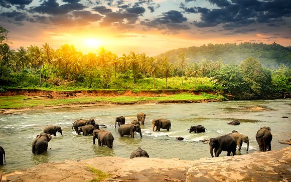 Willkommen auf... Sri Lanka!