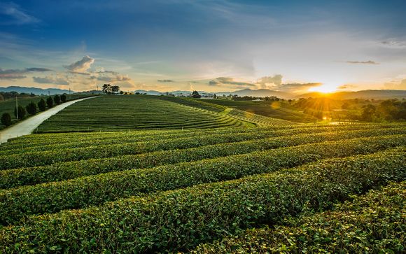 Ihre Rundreise im Detail