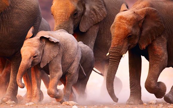 Ihre Rundreise im Detail