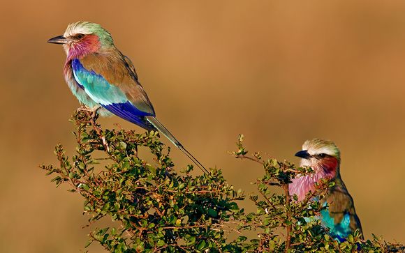 Ihre Rundreise im Überblick