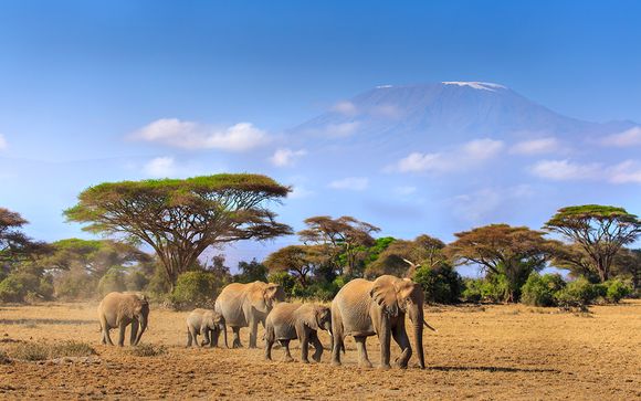 Safari Masai Mara 2 Tage / 1 Nacht