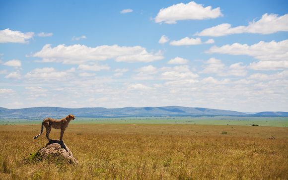 Ihre Rundreise im Detail