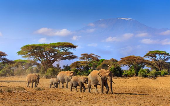 Willkommen in... Kenia!