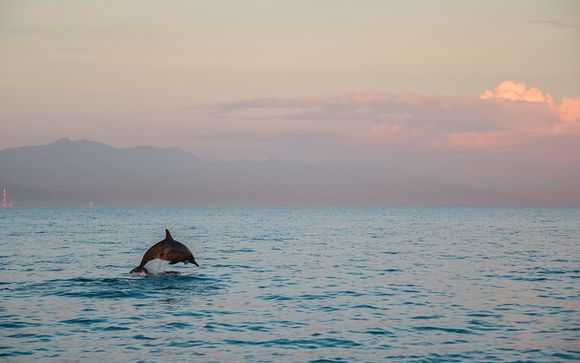 Willkommen auf... Bali!