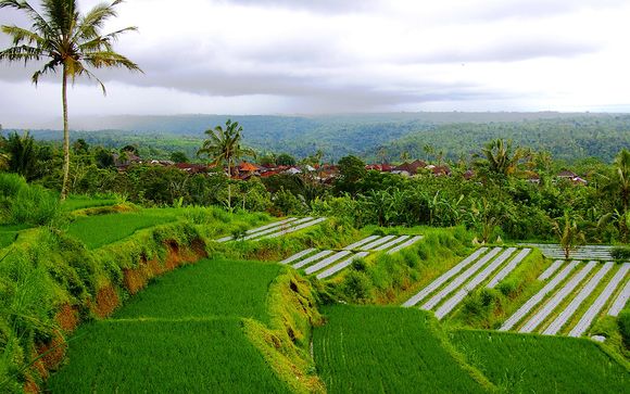 Willkommen auf... Bali!
