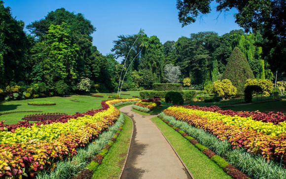 Ihre Rundreise im Detail