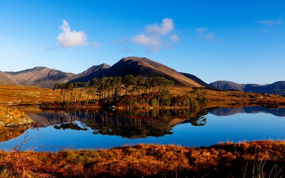 Willkommen in... Irland!