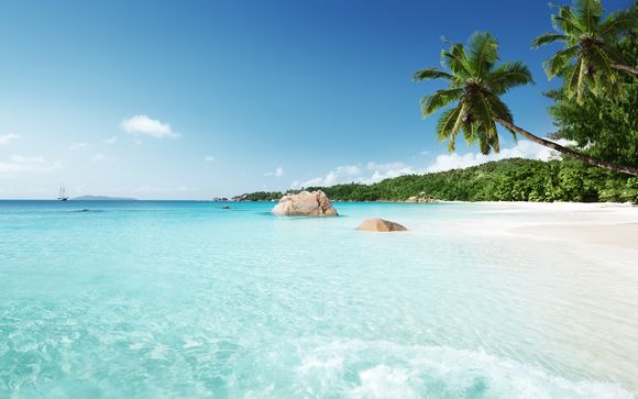 Ihre Kreuzfahrt im Detail